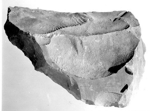 Relief fragment, tomb of Meketre