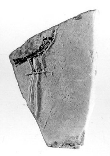 Relief fragment, tomb of Meketre