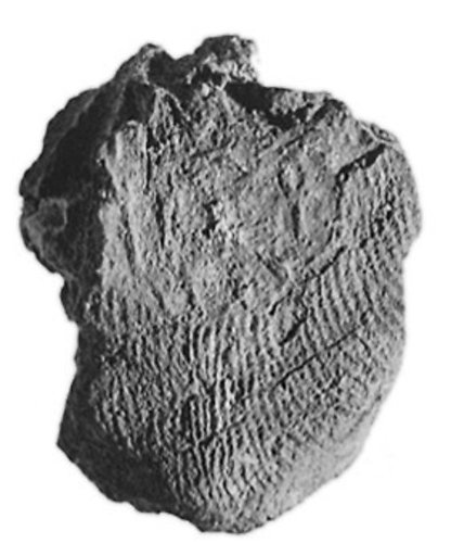 Sealing fragment