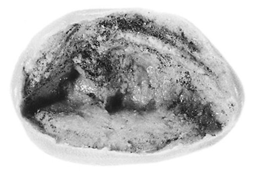 Sealing fragment