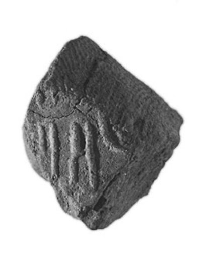 Sealing fragment