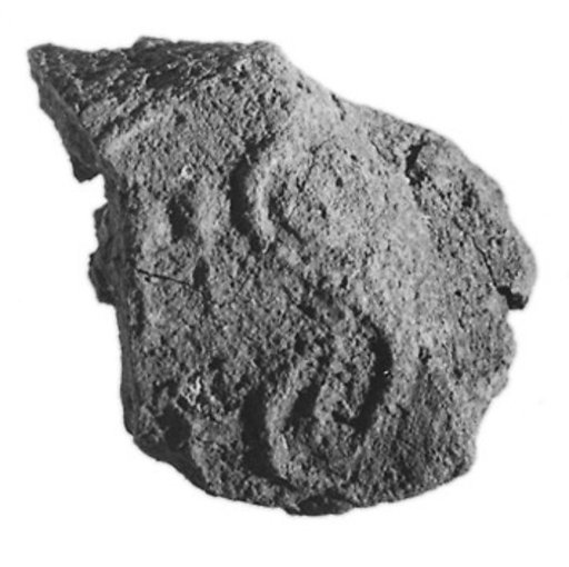 Sealing fragment