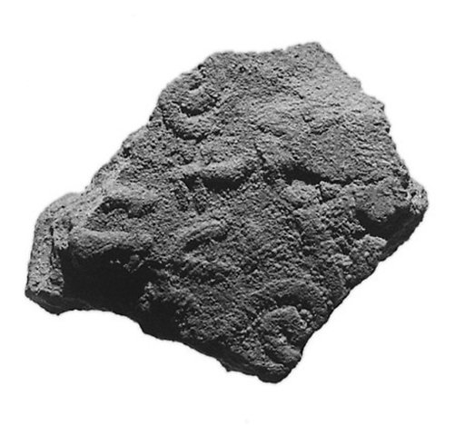 Sealing fragment