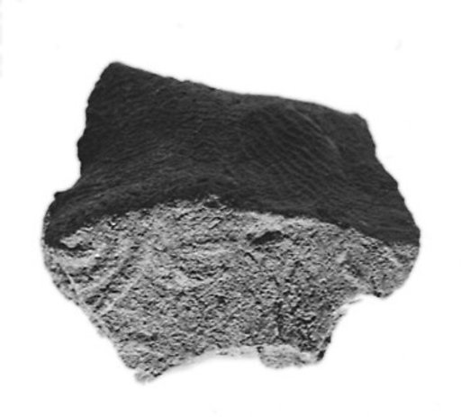 Sealing fragment