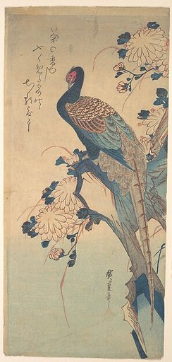 Pheasant with Chrysanthemums