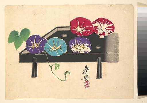Morning Glories