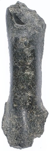 Toe