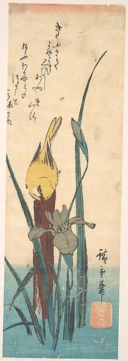 Bird and Iris