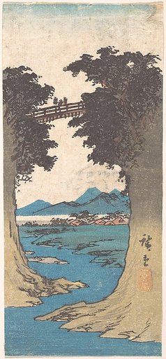 The Monkey Bridge