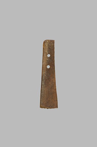 Fragment of a mummy label