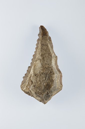 Sickle Insert