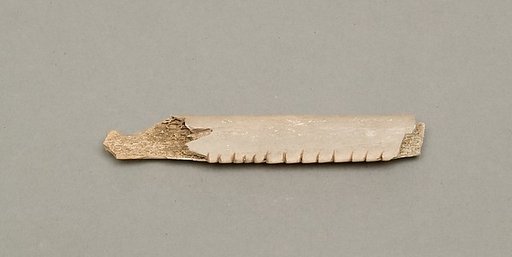Weaving tool (?)