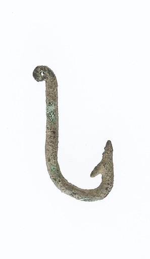 Fish hook