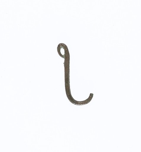 Fish hook