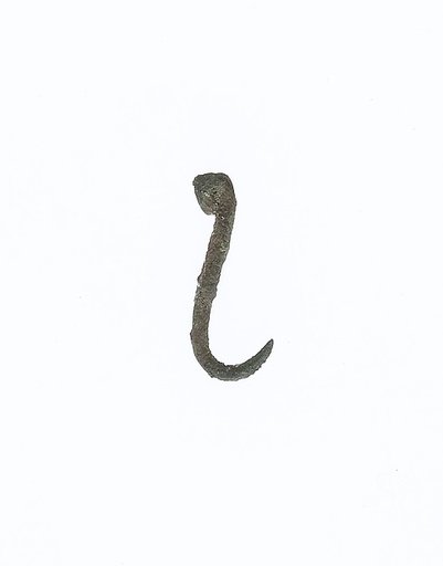 Fish hook