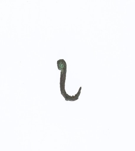 Fish hook
