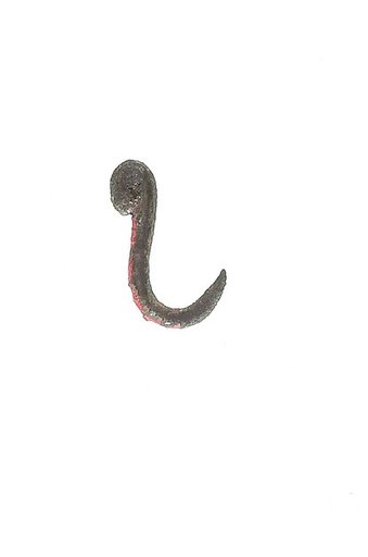 Fish hook