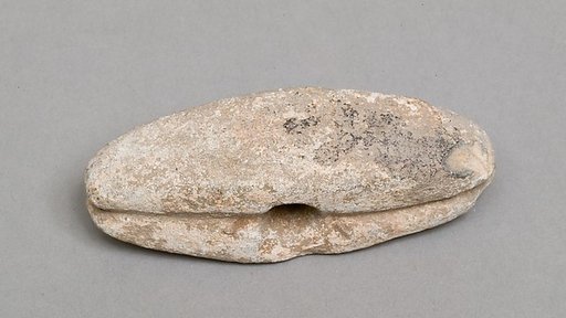 Fish net weight