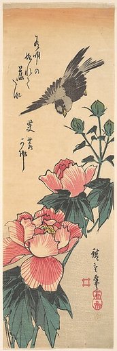 Sparrow and Hibiscus