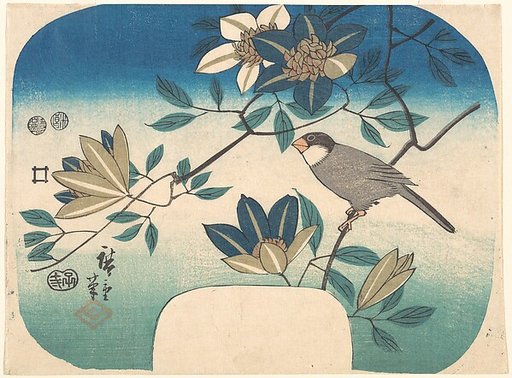 Clematis and Bird