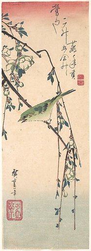 Warbler on a Plum Branch