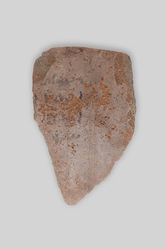 Ostracon