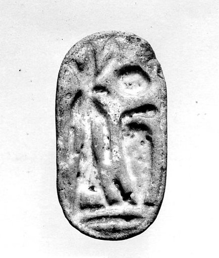 Seal