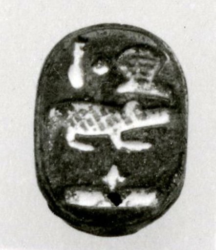Scarab