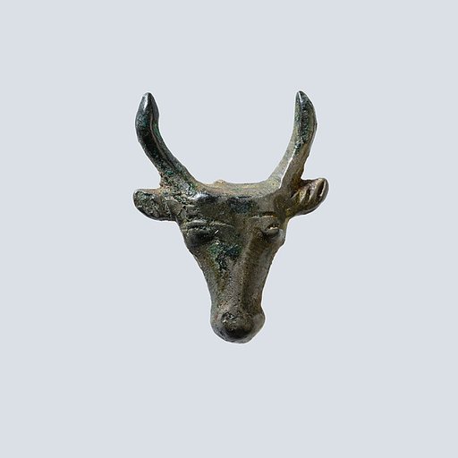 Bull's head