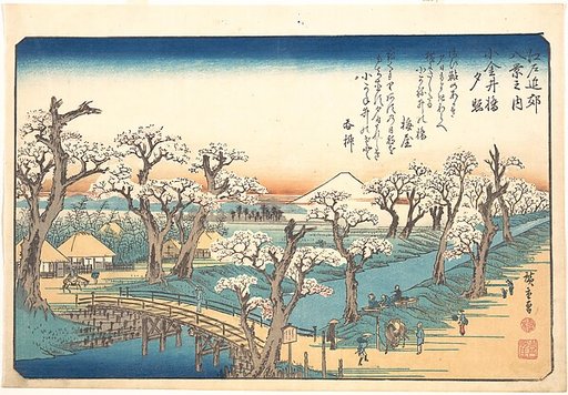 Evening Glow at Koganei Border