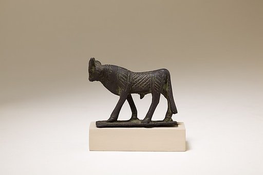 Apis bull