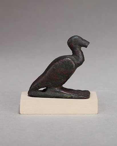 Ibis