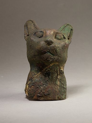 Cat head