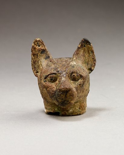Cat head