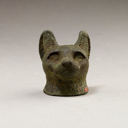 Cat head