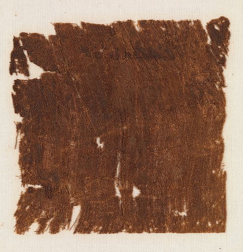 Sample of Cloth