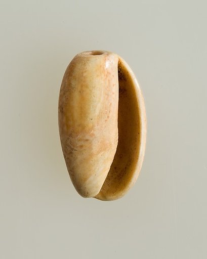 Shell pendant or bead