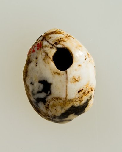 Shell pendant or bead