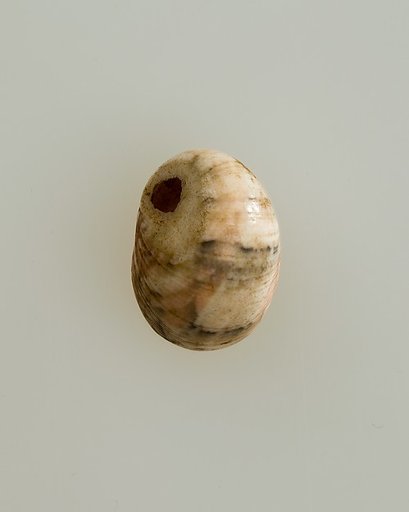 Shell pendant or bead