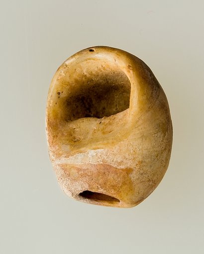 Shell pendant or bead