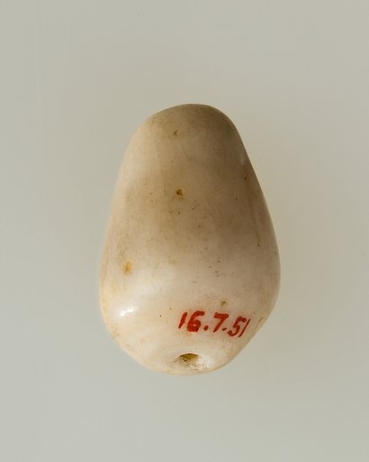 Shell pendant or bead