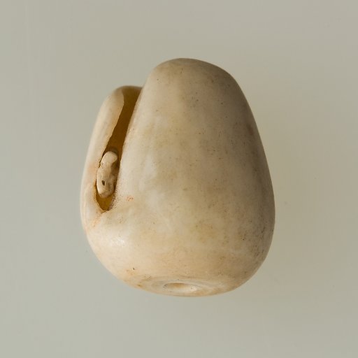 Shell pendant or bead
