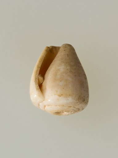 Shell pendant or bead