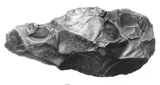 Biface, commonly referred to as a hand ax