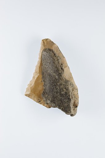 Sickle Insert