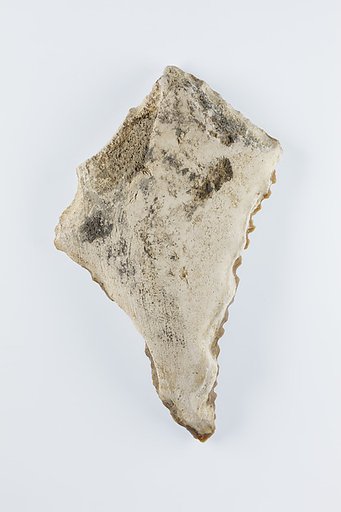 Sickle Insert