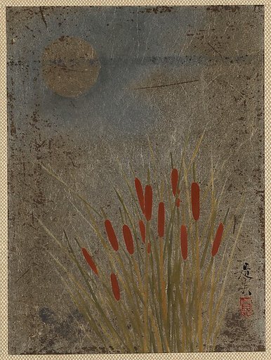 Cat Tails and Moon