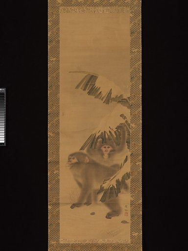 Monkeys