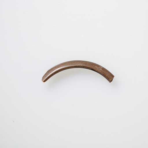 Bracelet (Bangle) Fragment