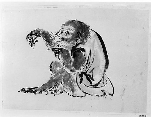 Monkey and Bee